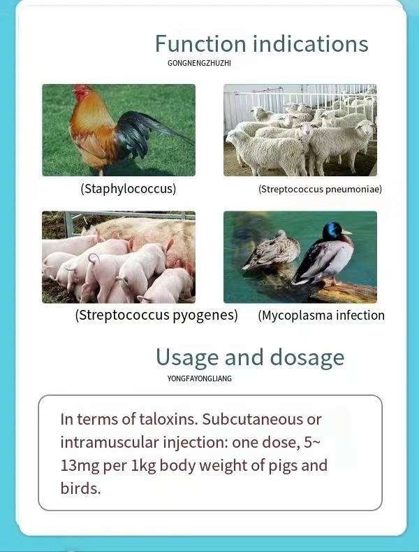 Infectious Diseases Caused by Gram-Positive Bacteria Susceptible to Mycoplasma Tartrate for Veterinary Injection