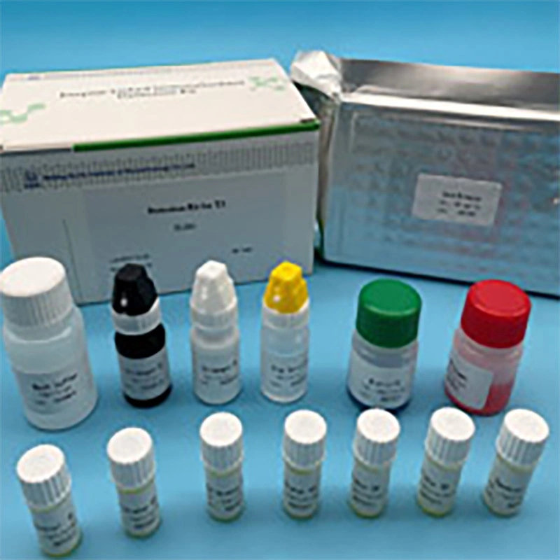 Manufactory and Trading Combo Human Interleukin 8 (IL-8) Elisa Kit