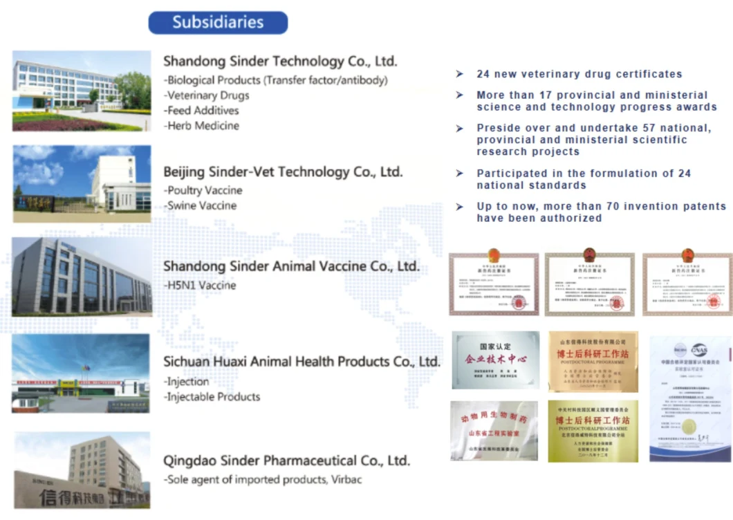 Veterinary Vaccine Newcastle Disease Virus (La Sota Strain) and Avian Influenza Virus (H9 Subtype, SS Strain) Killed Vaccine for Animal Use